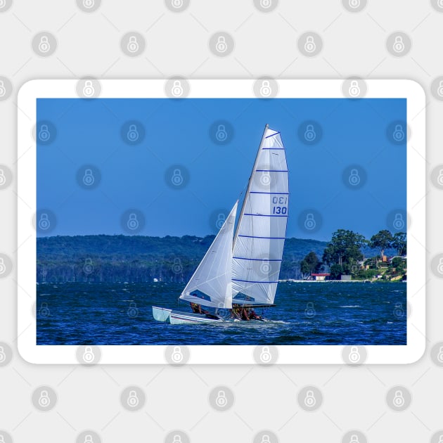 Hobie Cat Sailing Sticker by Upbeat Traveler